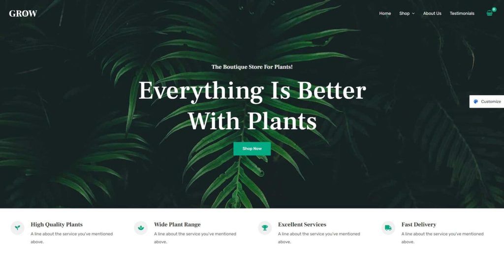 Picture of Astra, a multipurpose theme for Brizy Website Builder.
