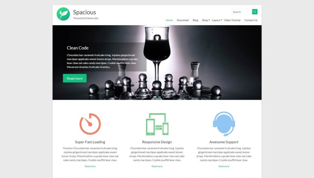 Portrait of Spacious WordPress theme for Brizy Website Builder.